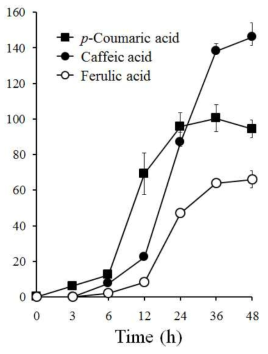 대사 조절된 대장균을 이용한 p-coumaric acid, caffeic acid, ferulic acid의 합성