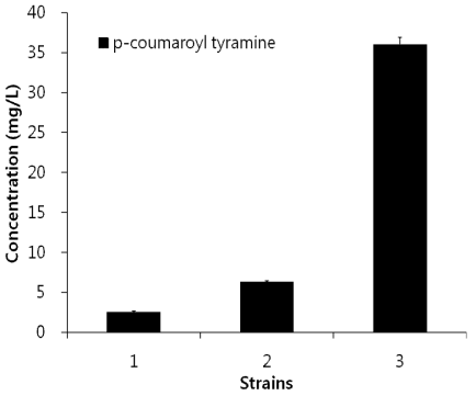 대장균내 tyrosine의 양에 따른 p-coumaroyl tyramine