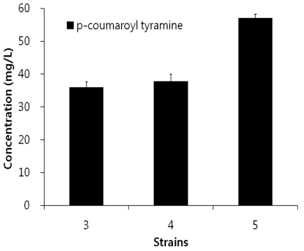 대장균 종류에 따른 p-coumaroyl tyramine의 합성량