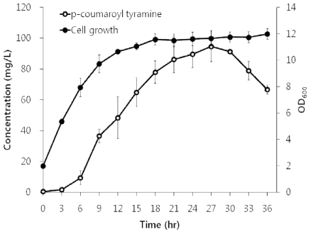 대장균에서 p-coumaroyl tyramine의 생산