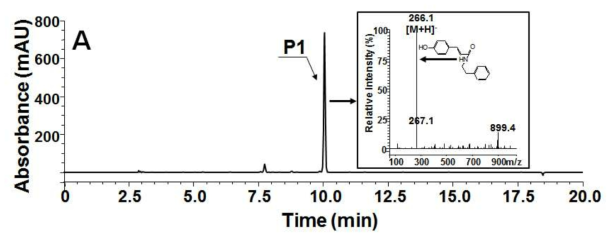 HPLC를 이용한 p-coumaroyl phenetheylamine합성 검증