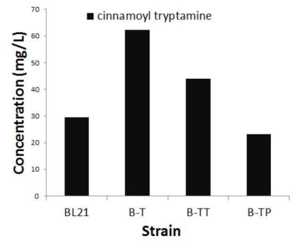 대장균 종류에 따른 cinnamoyl tryptamine 의 합성량