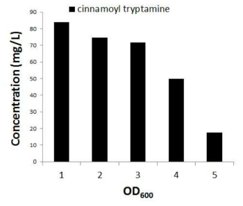 Initial cell concentration에 따른cinnamoyl tryptamine의 생산