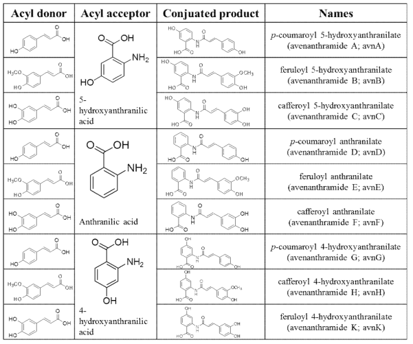 합성하고자 한 Avenanthramide.