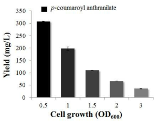 Initial cell concentration에 따른 avnD의 생산