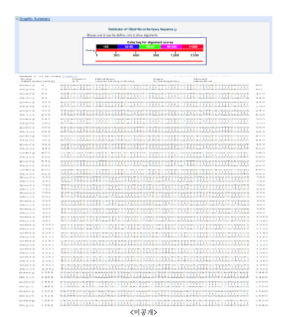 pB2GW7.0-팜한농2 vector의 확인