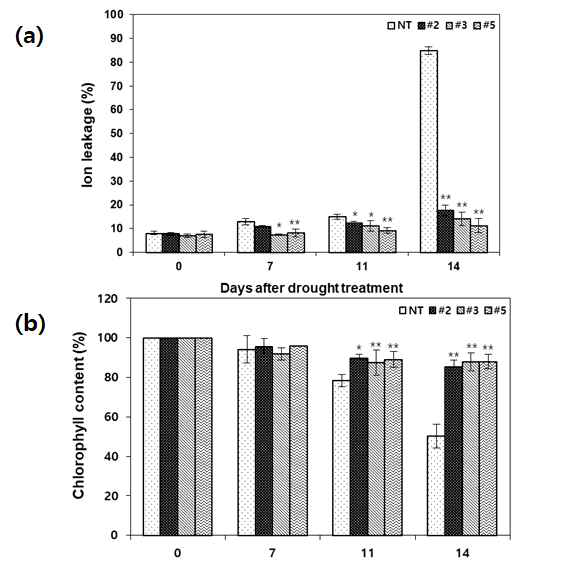 가뭄 처리한 콩 형질전환체의 시간 변화에 따른 이온 누출량(a) 및 chlorophyll 함량 분석 (b)