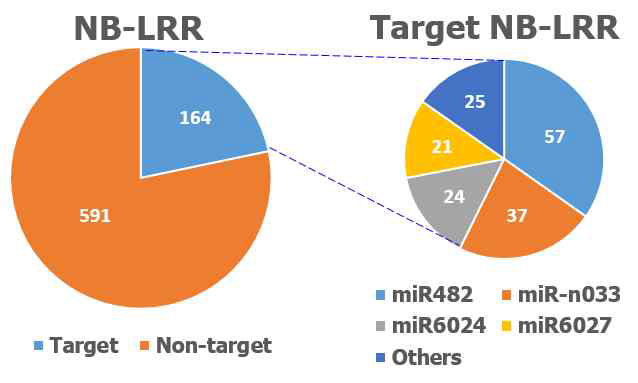 NB-LRR을 조절하는 고추 microRNA