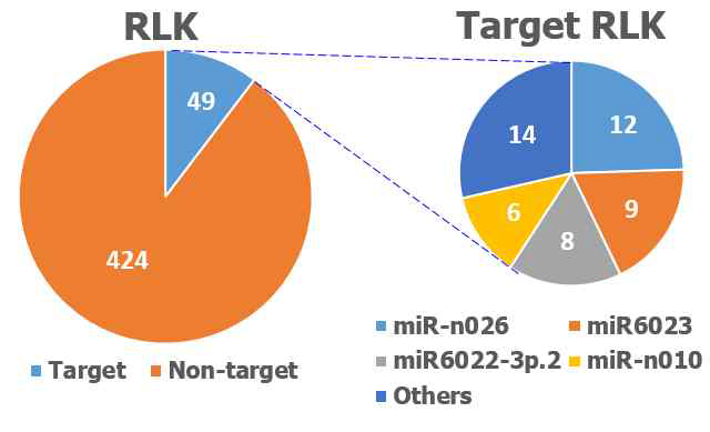 RLK와 RLP를 조절하는 고추 microRNA