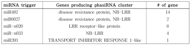 phasiRNA를 생성하는 고추 병 저항성 유전자
