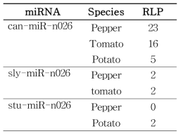 고추, 토마토, 감자 miR-n026 표 적 유전자 예측 결과