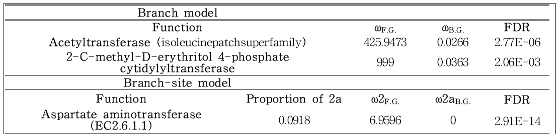 락토바실러스 플란타룸 GB-804 유산균 균주 유래 브랜치 및 브랜치-사이트 모델 (branch-site model)로 검증한 진화적으로 가속화된 유용유전자의 기능 및 아미노산 변이 위치