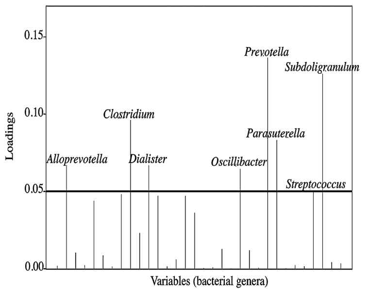 Canonical loading plot showing the 32 differentially abundant bacterial genera in the discriminant analysis of principal components. The individual peaks show the magnitude of the influence of each variable to separation of the CON and LAC groups before and after the experiment. At the 0.05 threshold level, the majority of the separation among the pig groups before and after lactulose administration was attributed to Prevotella, Subdoligranulum, Clostridium, Parasutterella, Alloprevotella, Dialister,Oscillibacter and Streptococcus