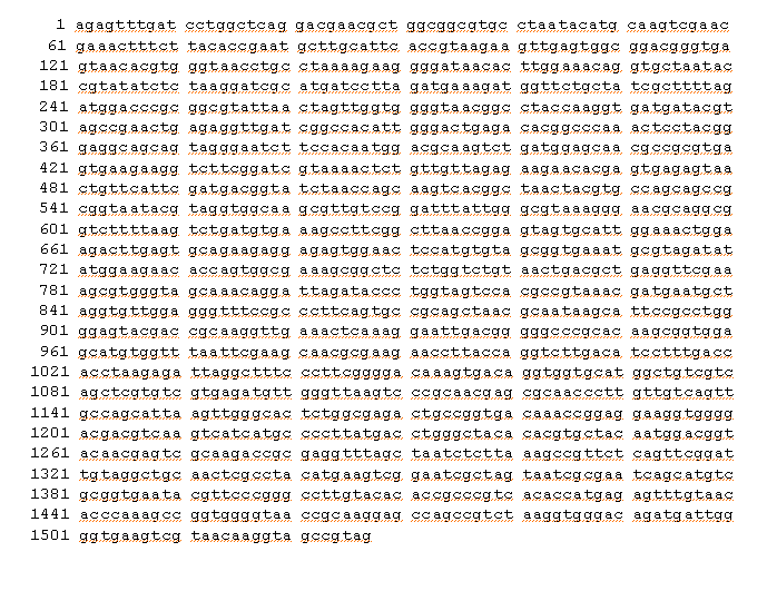 16S rRNA gene sequences of the isolated strain, LP27