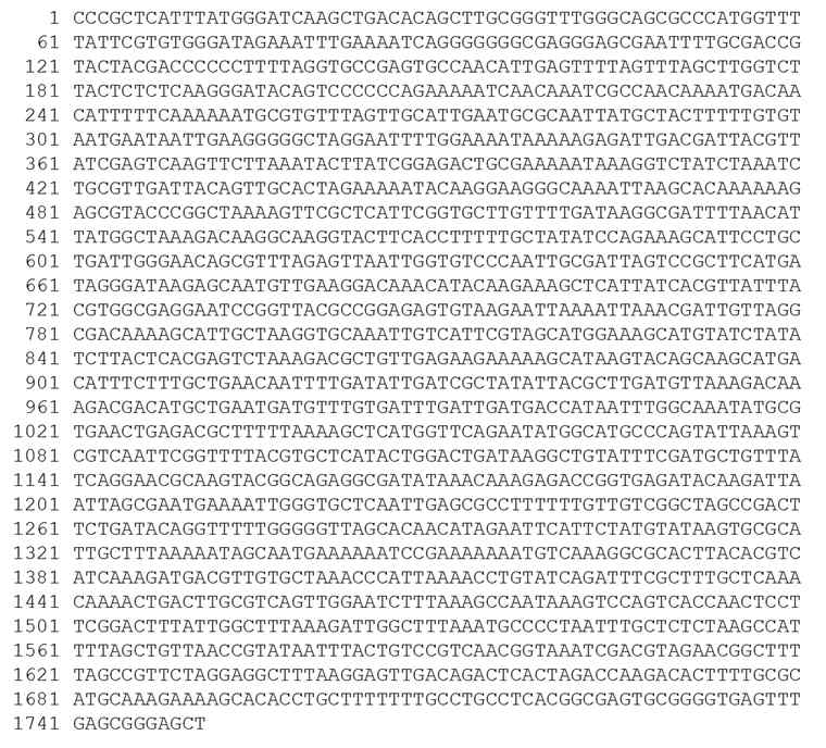 Complete nucleotide sequence of pLP27