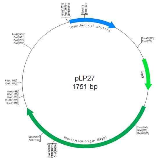 Map of pLP27