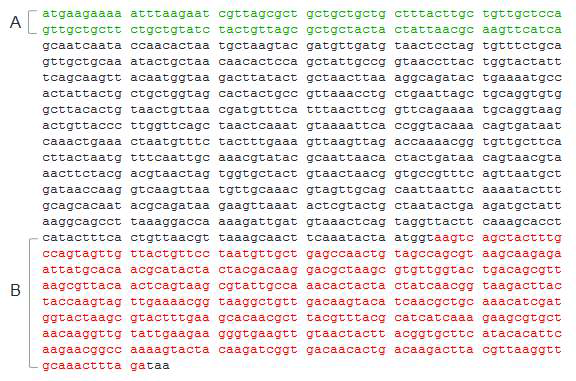 slpA gene sequence from L. acidophilus ATCC 4356. A, signal sequence. B, Cell wall anchor sequence