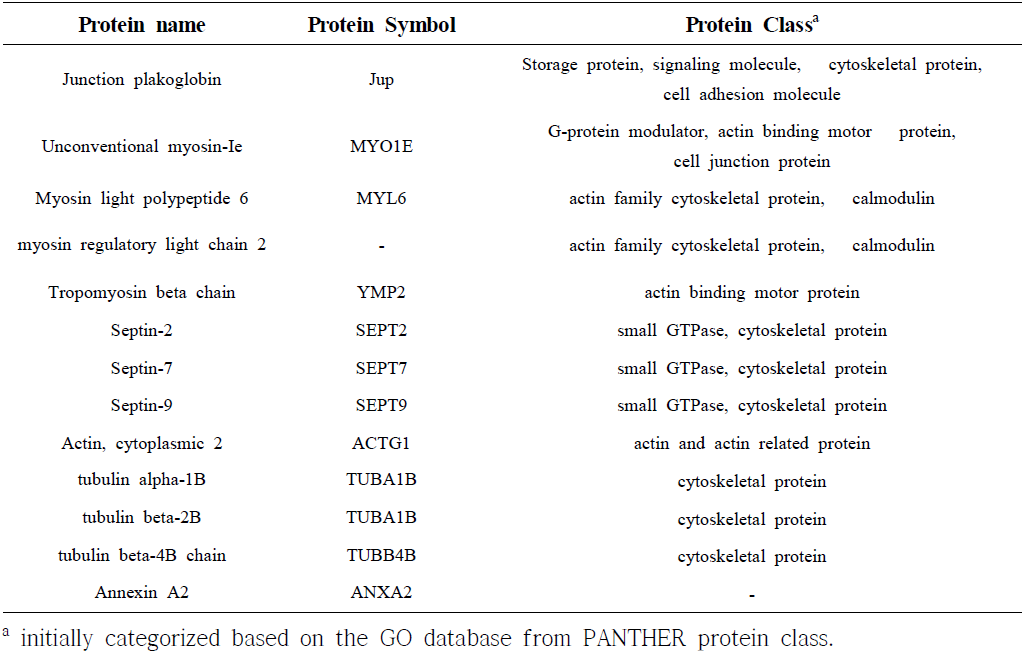 Up-regulated proteins in IPEC-J2 cells during co-incubation with L. mucosae LM1