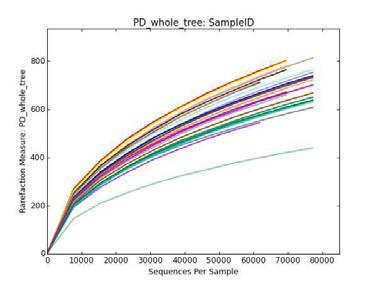 Rarefaction curves of each pig samples with an OTU definition at 97% identity level created by PD_whole_tree