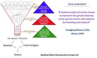 유전자원 활용도 제고를 위한 핵심집단구축