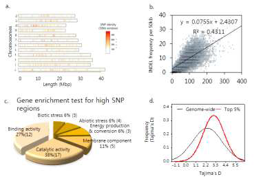 HQSNP의 벼 유전체 상의 분포 및 기능적 중요성