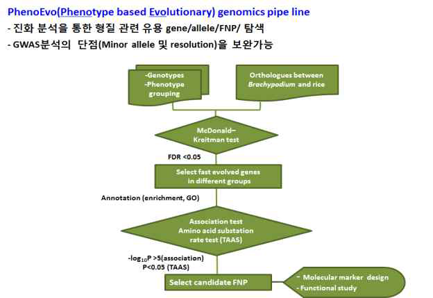 본 연구팀이 개발한 표현형 변이 관련 coding region SNP 추출 piple line (PhenoEvo) 요약