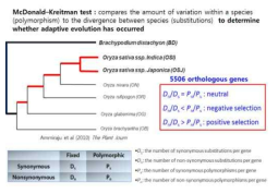 PhenoEvo pipeline에 사용된 McDonald-Kreitman 방법에 대한 설명