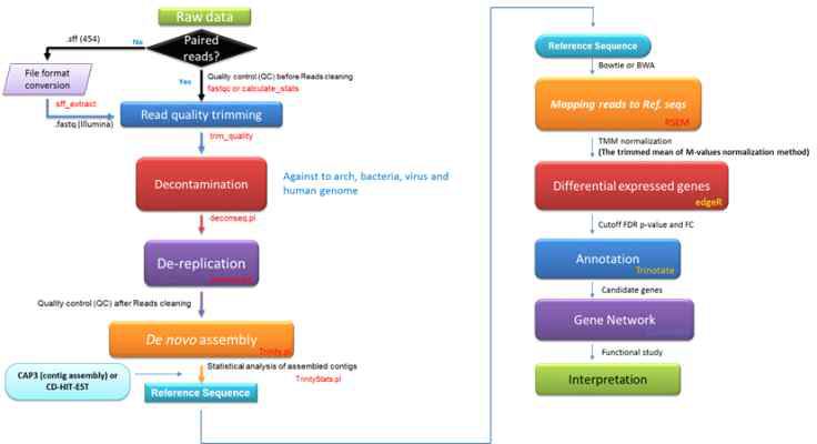 본 연구에서 이용한 Trinity기반 RNA sequencing assembly 및 mapping pipeline (자료: 임목 육종연구소 심동환 박사)