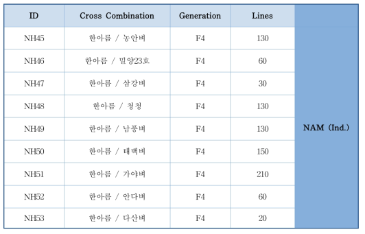 한국 통일형 품종 활용 NAM 집단 양성