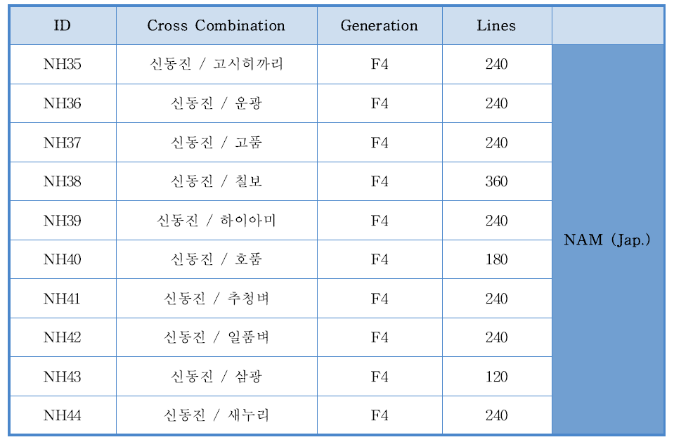 한국 자포니카 품종 활용 NAM 집단 양성