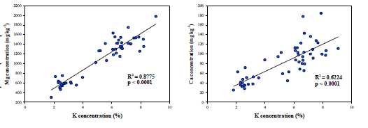 Relationship between K, Mg and Ca concentration in rice core set