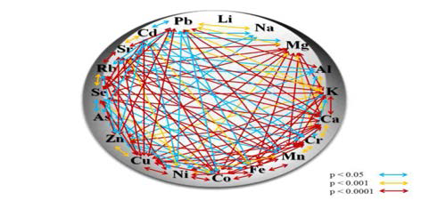 Interactions between elements in rice core set used in this study