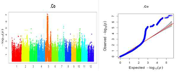 Genome-wide association analysis of Co concentration in rice