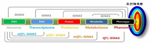 유전체/전사체/단백질체/대사체 통합오믹스 기반 GWAS 연구뱡향