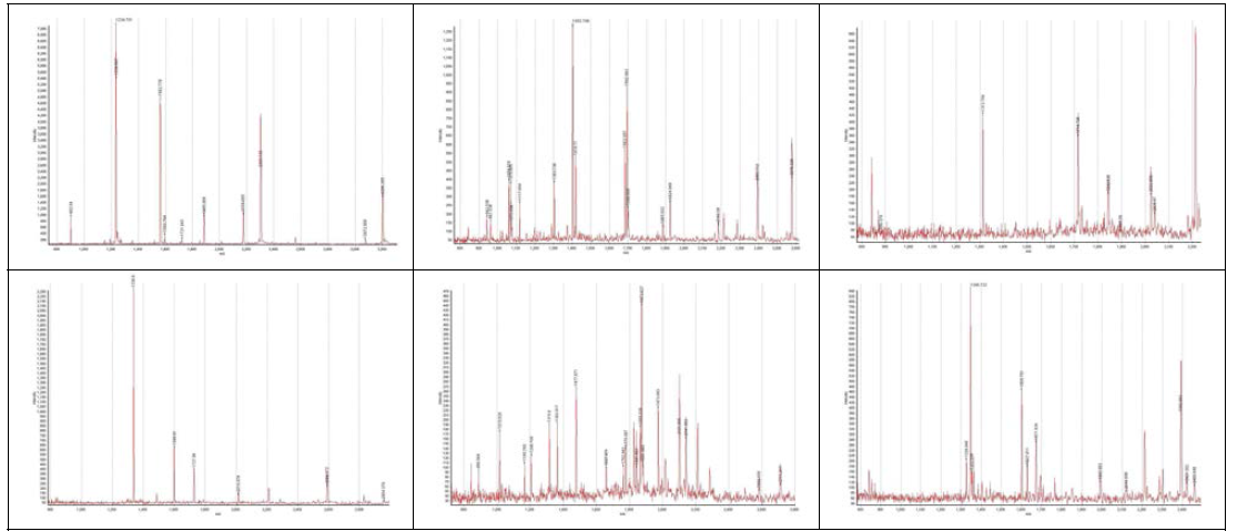 spectrometry 분석을 통한 peptide chromatogram의 예