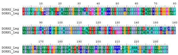 The pair-wise sequence alignment of the lectin domain of DORN2 and DORN1. Columns with the same color indicate identical amino acids of two proteins aligned