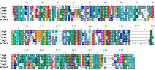 A multiple query sequence – template structural alignment between the L-type lectin domain sequence of DORN2 and four best selected template structures