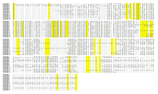 배추 유래 BrRBGs의 염기서열 상동성 비교