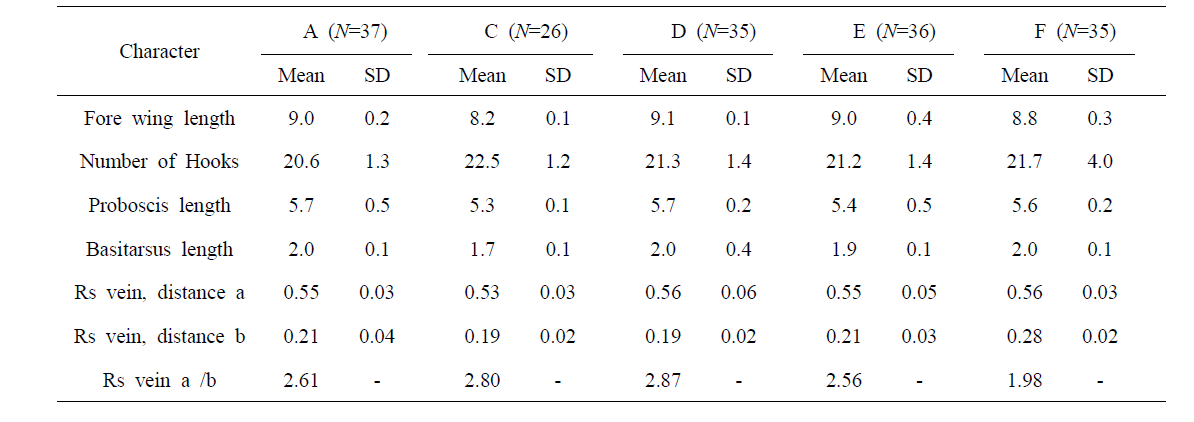 Morphometric characteristics from 5 inbreed lines in Apis mellifera