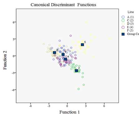 Distribution of five inbreed lines Apis mellifera using a canonical discriminant function