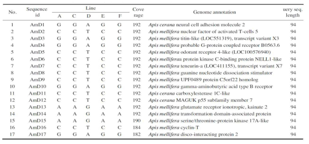 Characteristics of single nucleotide polymorphism selected from Apis mellifera reared in Korea