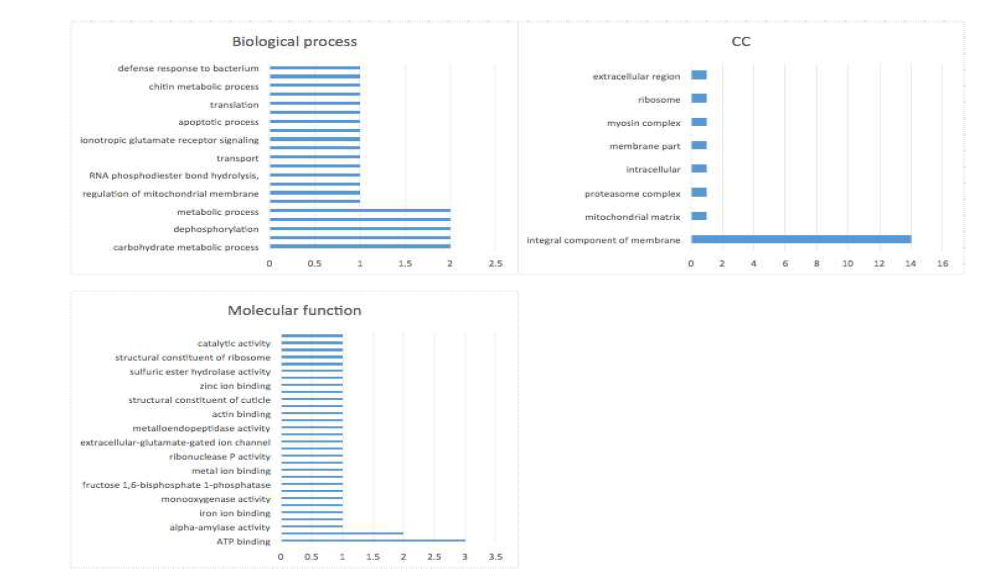 Multi-level pie chart of the major GO-categories represented in the DEG dataset in hygienic honeybees