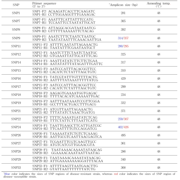 질병 저항성 계통과 감수성 계통 간 SNP 영역 증폭을 위한 프라이머 염기서열 과 annealing 온도