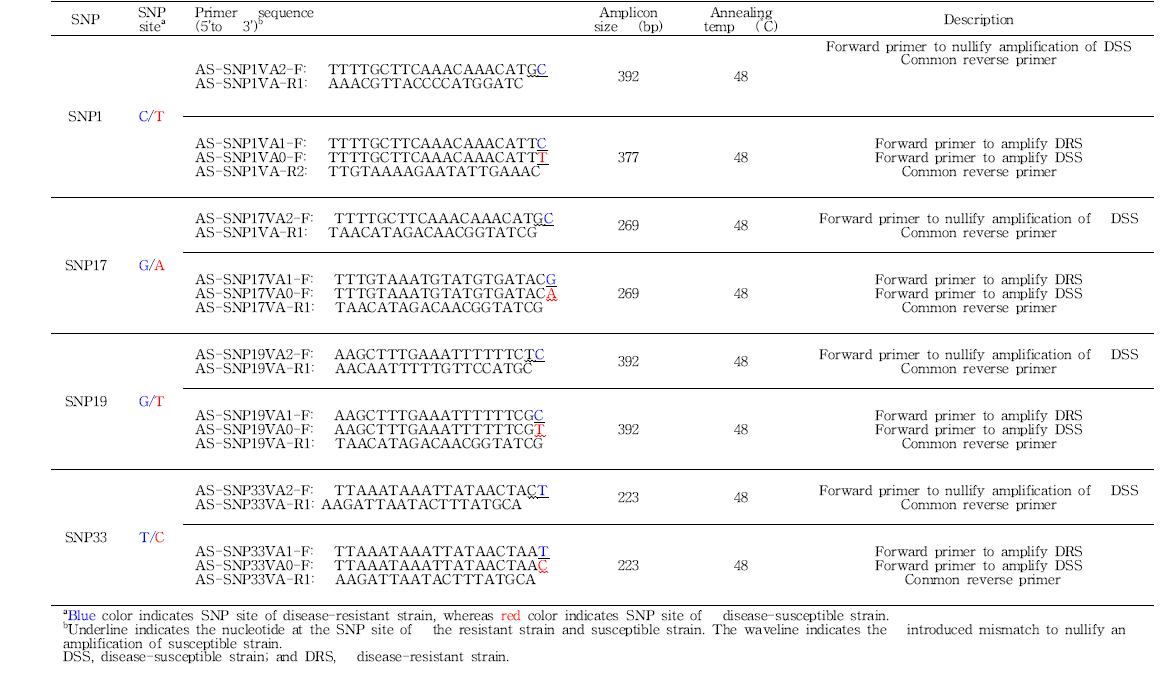 Allele-specific PCR 프라이머 정보