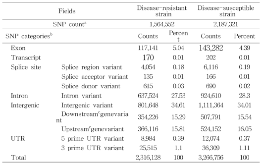 질병 저항성 및 감수성 계통 SNP 분포 결과