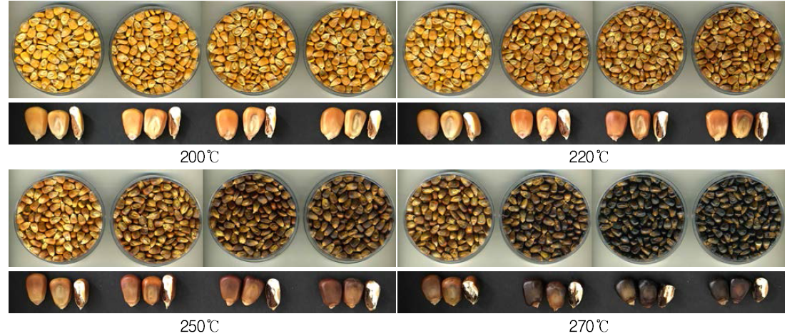 볶음 온도 및 시간에 따른 옥수수 알곡 외관 비교