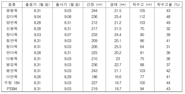 7월 5일 곡실용 옥수수의 생육 상황