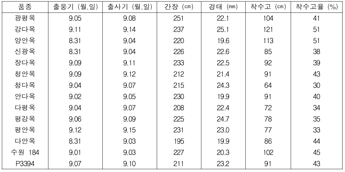 7월 15일 곡실용 옥수수의 생육 상황