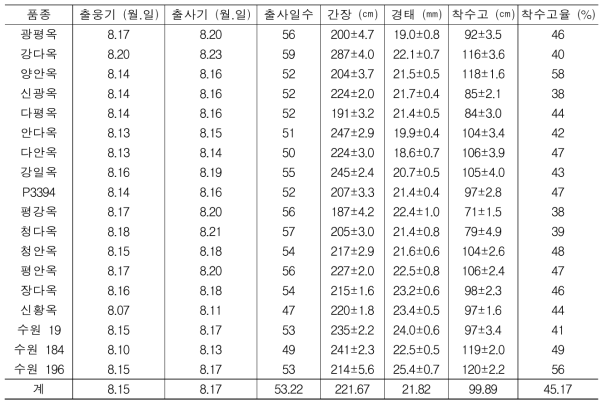 6월 25일 곡실용 옥수수의 생육 상황