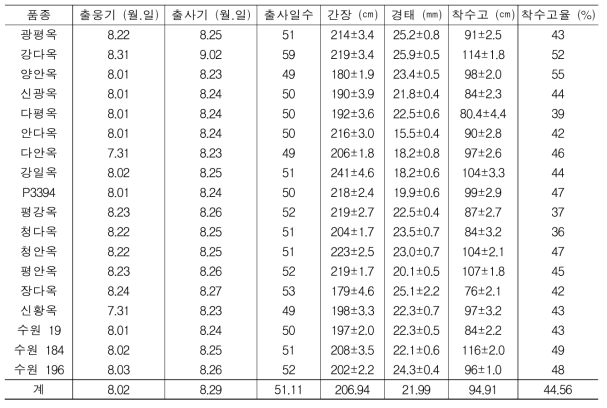 7월 5일 곡실용 옥수수의 생육 상황